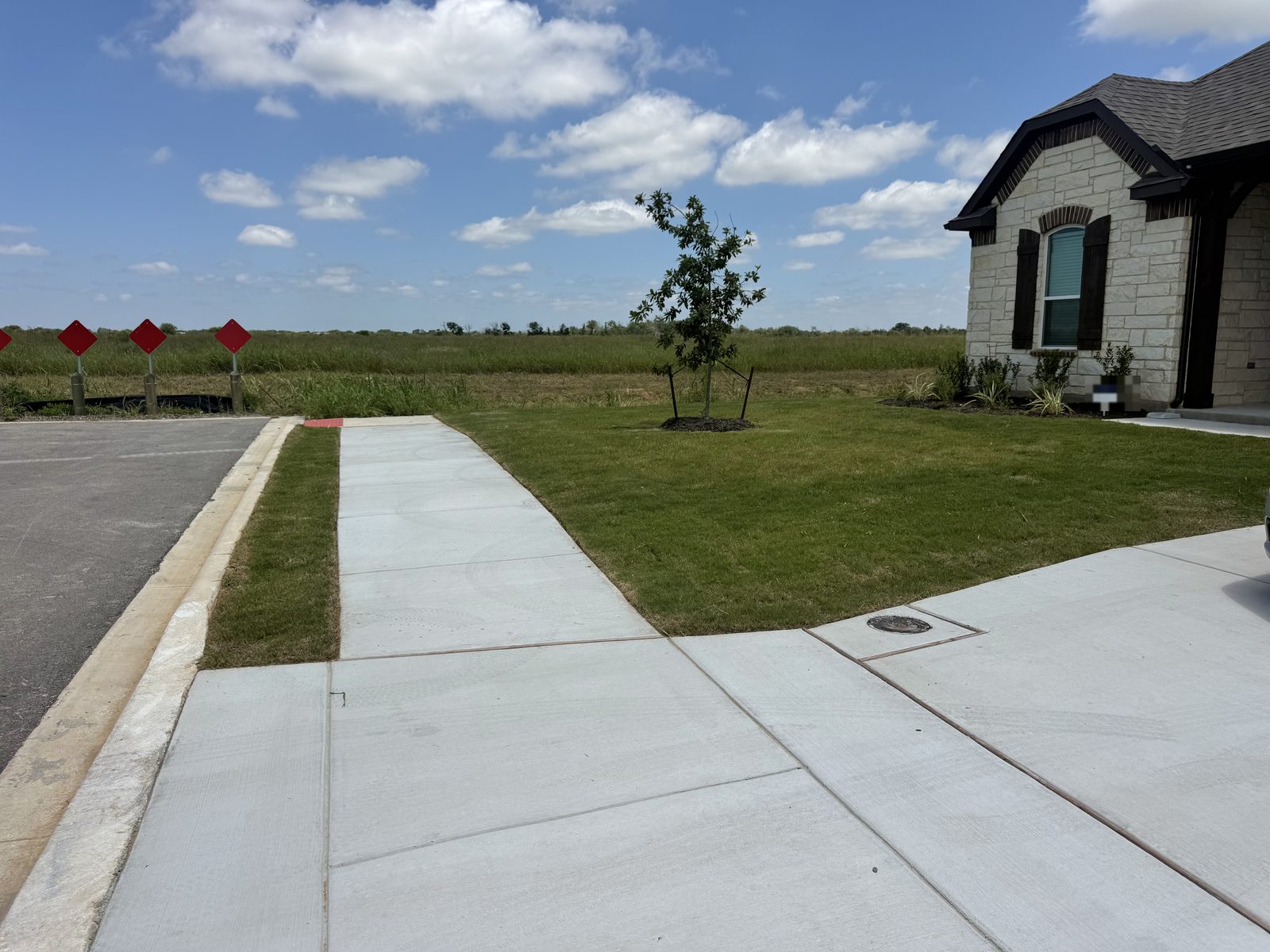 Freshly mowed front lawn with a young staked tree, Gonzales Landscaping job