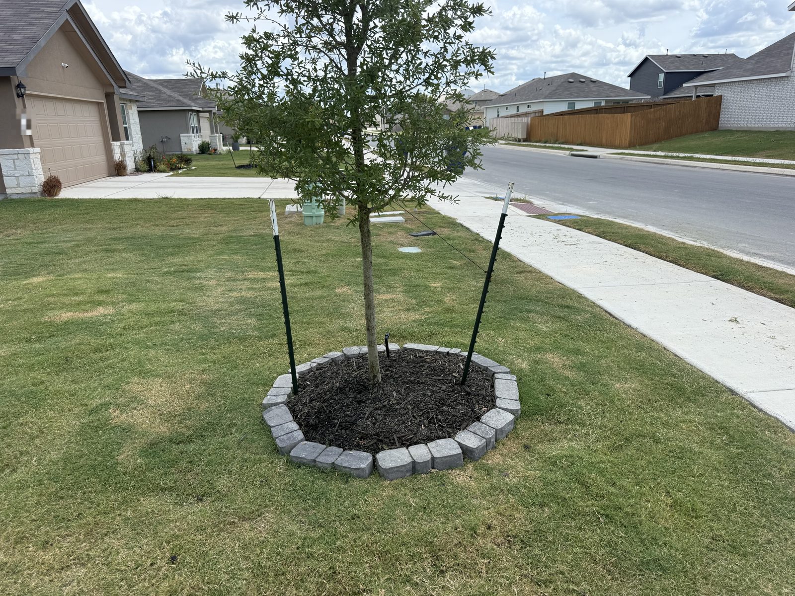Paver tree ring masonry work in Cibolo, TX by Gonzales Landscaping