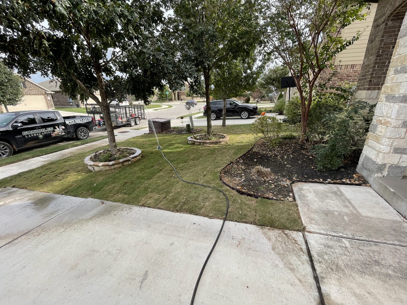 Freshly installed sod around paver tree rings in a Cibolo, TX front yard by Gonzales Landscaping