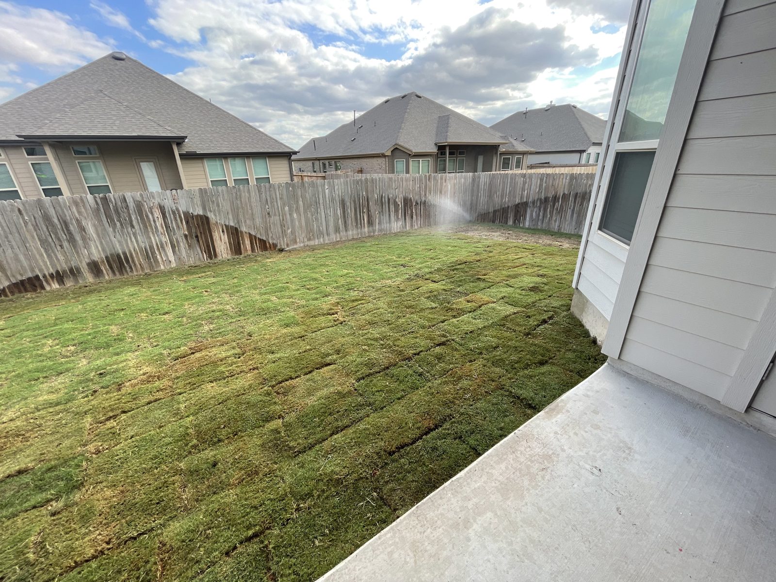Freshly installed backyard sod with sprinkler running in Cibolo, TX by Gonzales Landscaping