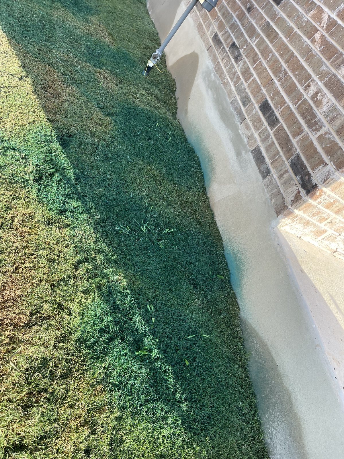 Close-up of turquoise treatment marker dye on a lawn after a Gonzales Landscaping weed control application in Cibolo, TX