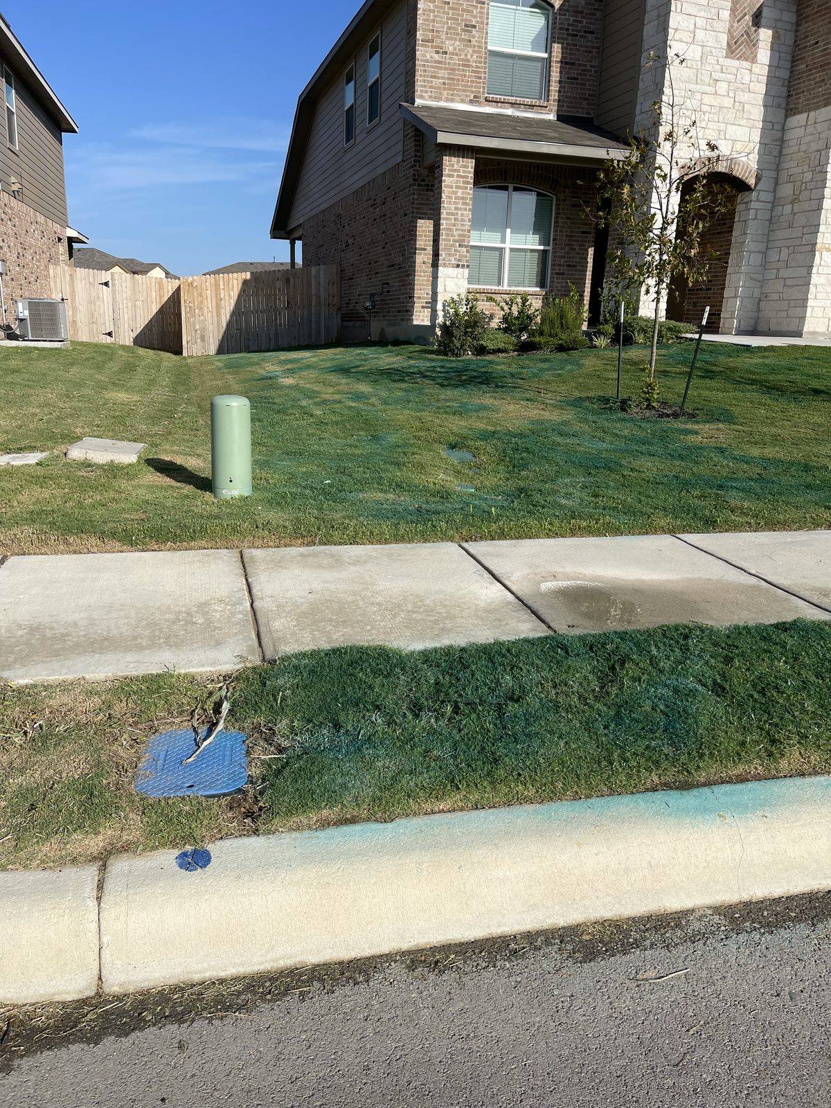 Treatment marker dye along a curb and lawn edge after a Gonzales Landscaping weed control application in Cibolo, TX
